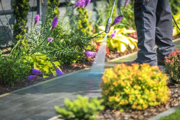 Best Gutter Cleaning and Brightening in Glendale, WI