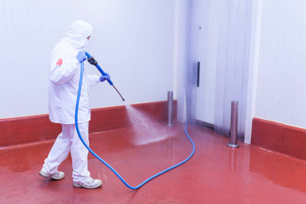 Best Pool Deck Cleaning in Glendale, WI