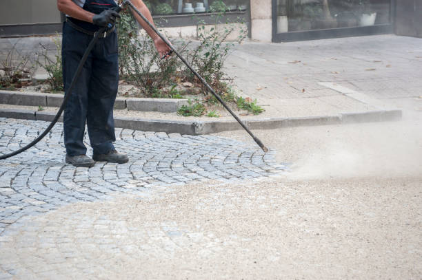 Best Fence Cleaning and Maintenance in Glendale, WI